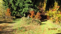 IMG_0188.jpg, 32kB